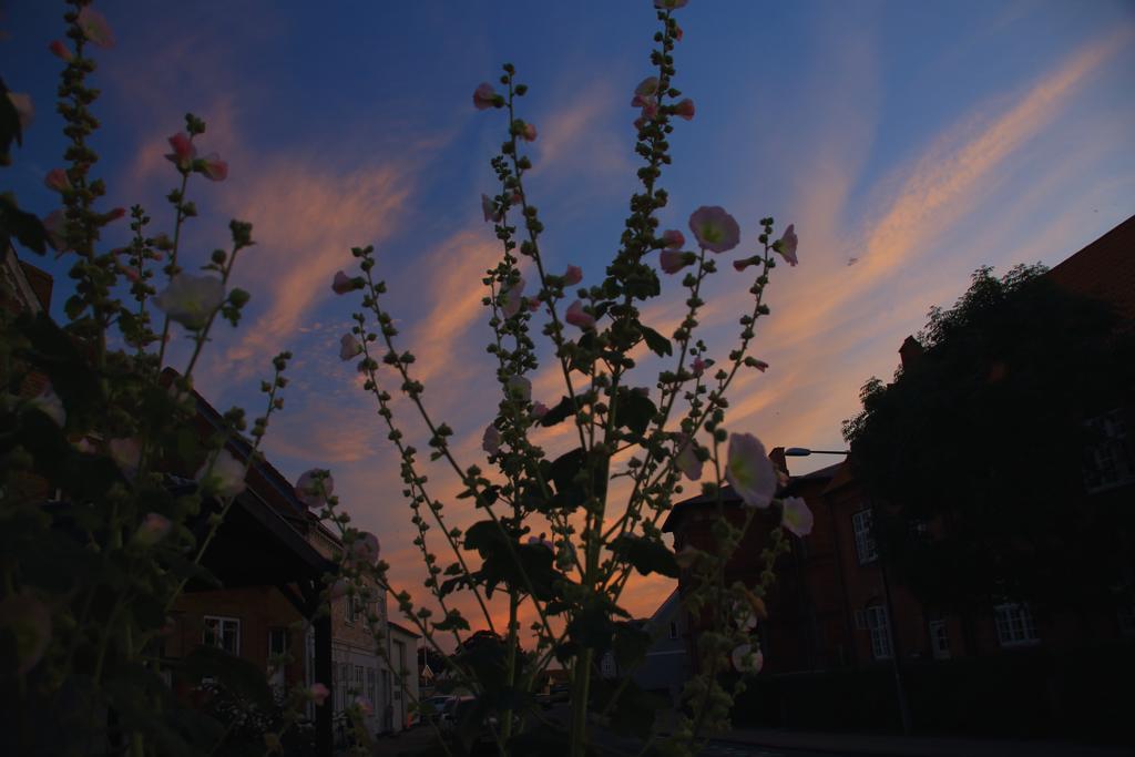 Kobmandsgardens B&B Kerteminde Dalby ภายนอก รูปภาพ